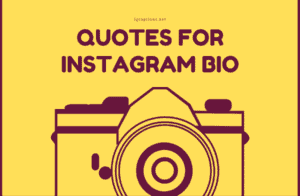 Quotes for Instagram Bio