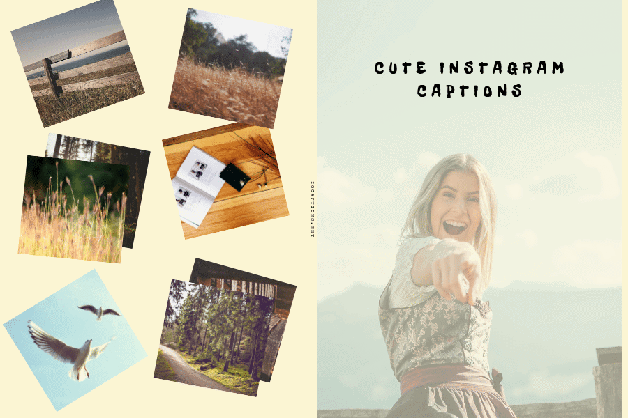 Cute Instagram Captions